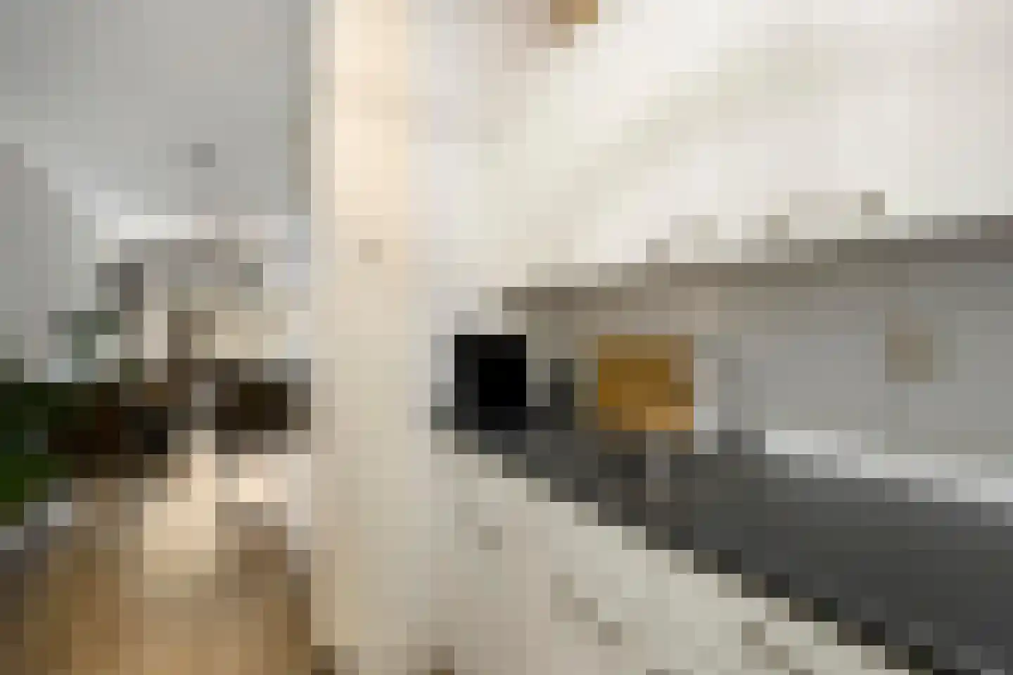 De Tichel 64 Heerlen thumbnail 9