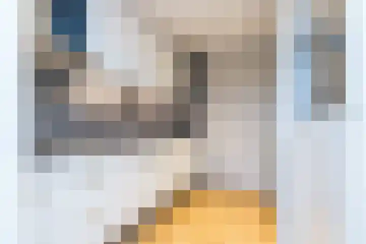 De Tichel 79 Heerlen thumbnail 6