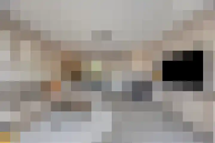 De Tiend 31 Haaren thumbnail 10