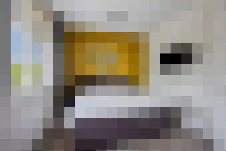 De Tiend 31 Haaren thumbnail 18