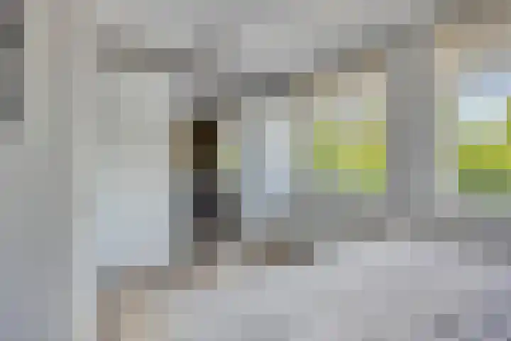 De Tiend 31 Haaren thumbnail 19