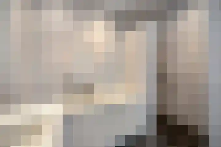 De Tiend 31 Haaren thumbnail 23