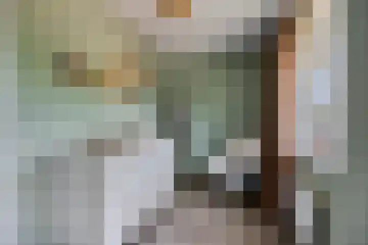 De Tiend 31 Haaren thumbnail 24