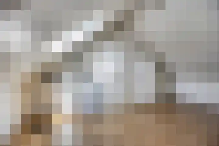 De Tiend 31 Haaren thumbnail 27