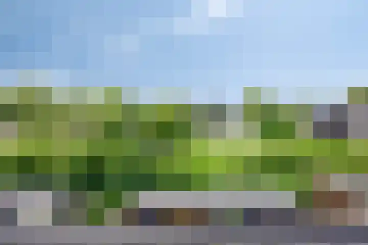 De Tiend 31 Haaren thumbnail 28