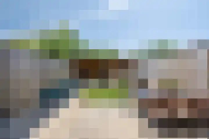 De Tiend 31 Haaren thumbnail 30