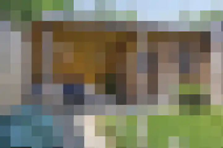 De Tiend 31 Haaren thumbnail 31