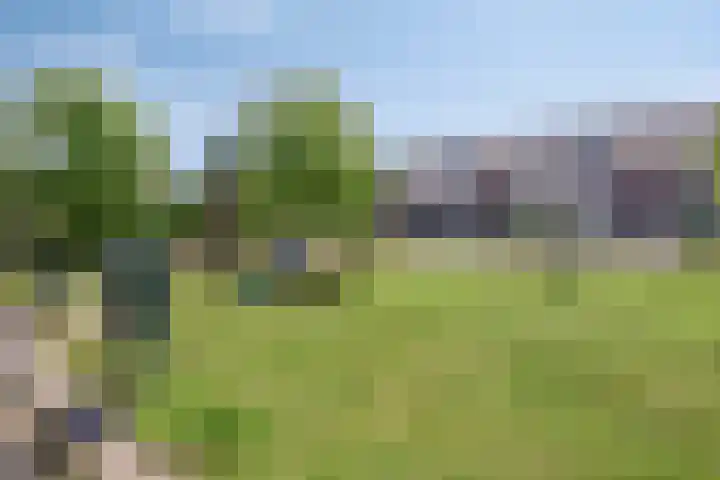 De Tiend 31 Haaren thumbnail 32