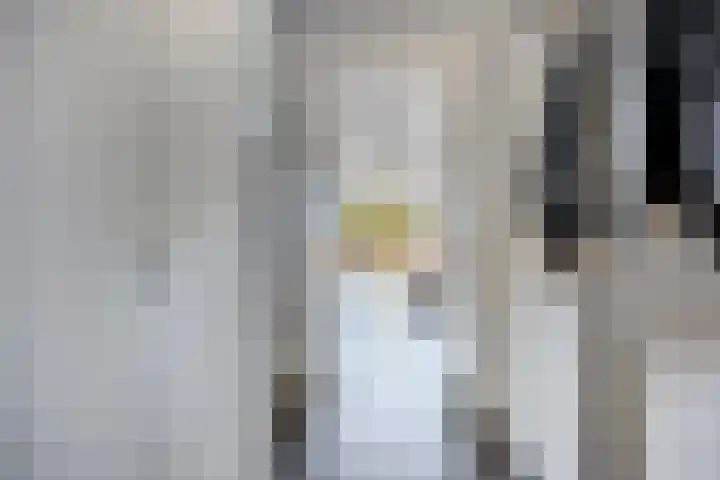 De Tiend 31 Haaren thumbnail 5