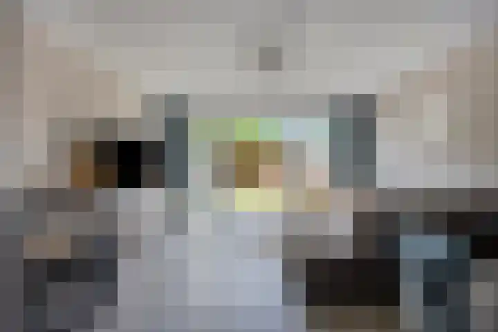 De Tiend 31 Haaren thumbnail 7