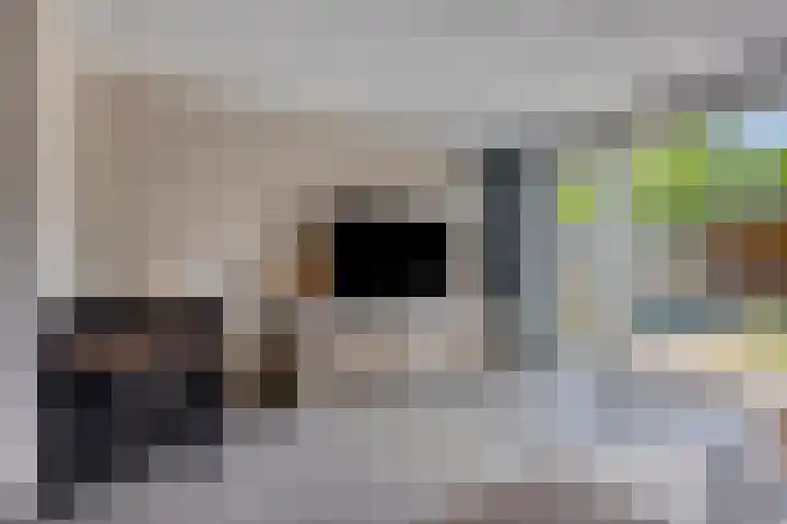 De Tiend 31 Haaren thumbnail 8