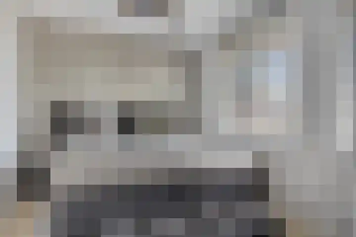 De Tiend 55 Haaren thumbnail 22