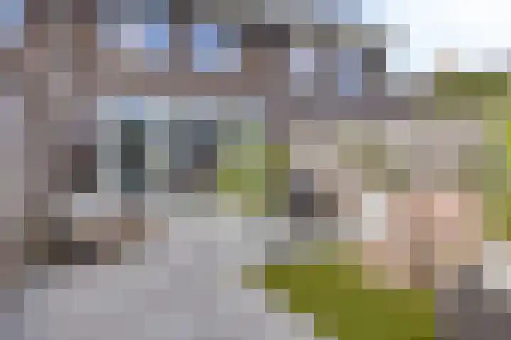 De Tiend 55 Haaren thumbnail 37