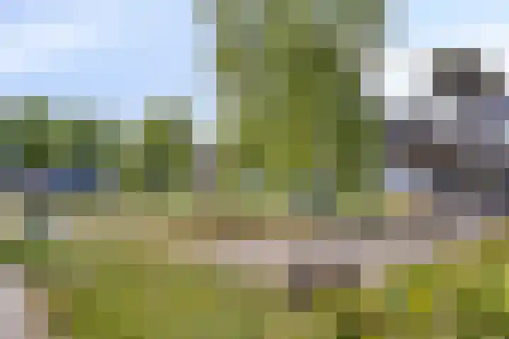 De Tiend 55 Haaren thumbnail 44
