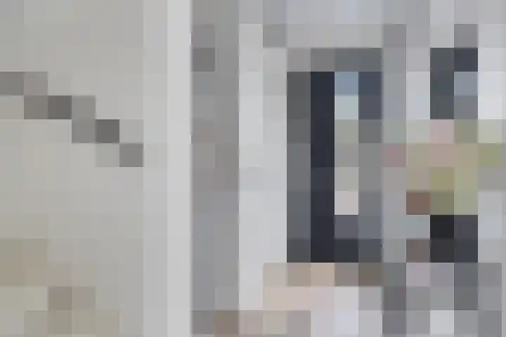 De Tiend 55 Haaren thumbnail 5