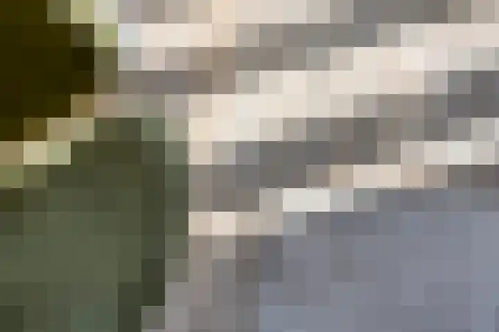 De Tiend 55 Haaren thumbnail 9