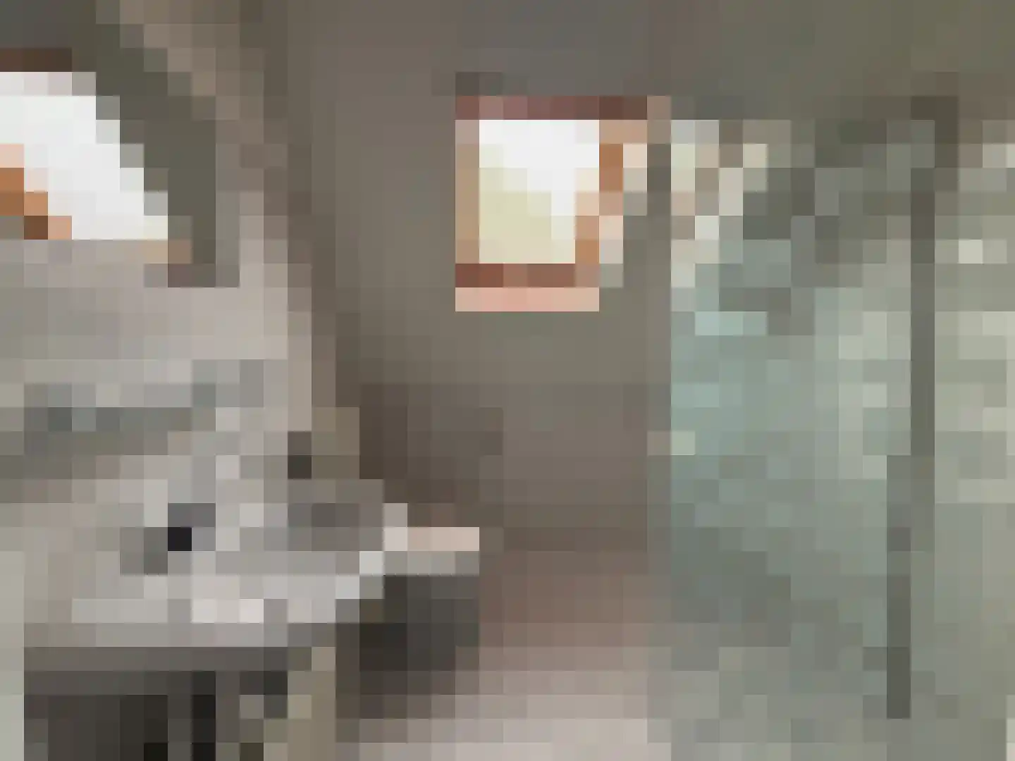De Tijen 5 Drachten thumbnail 10