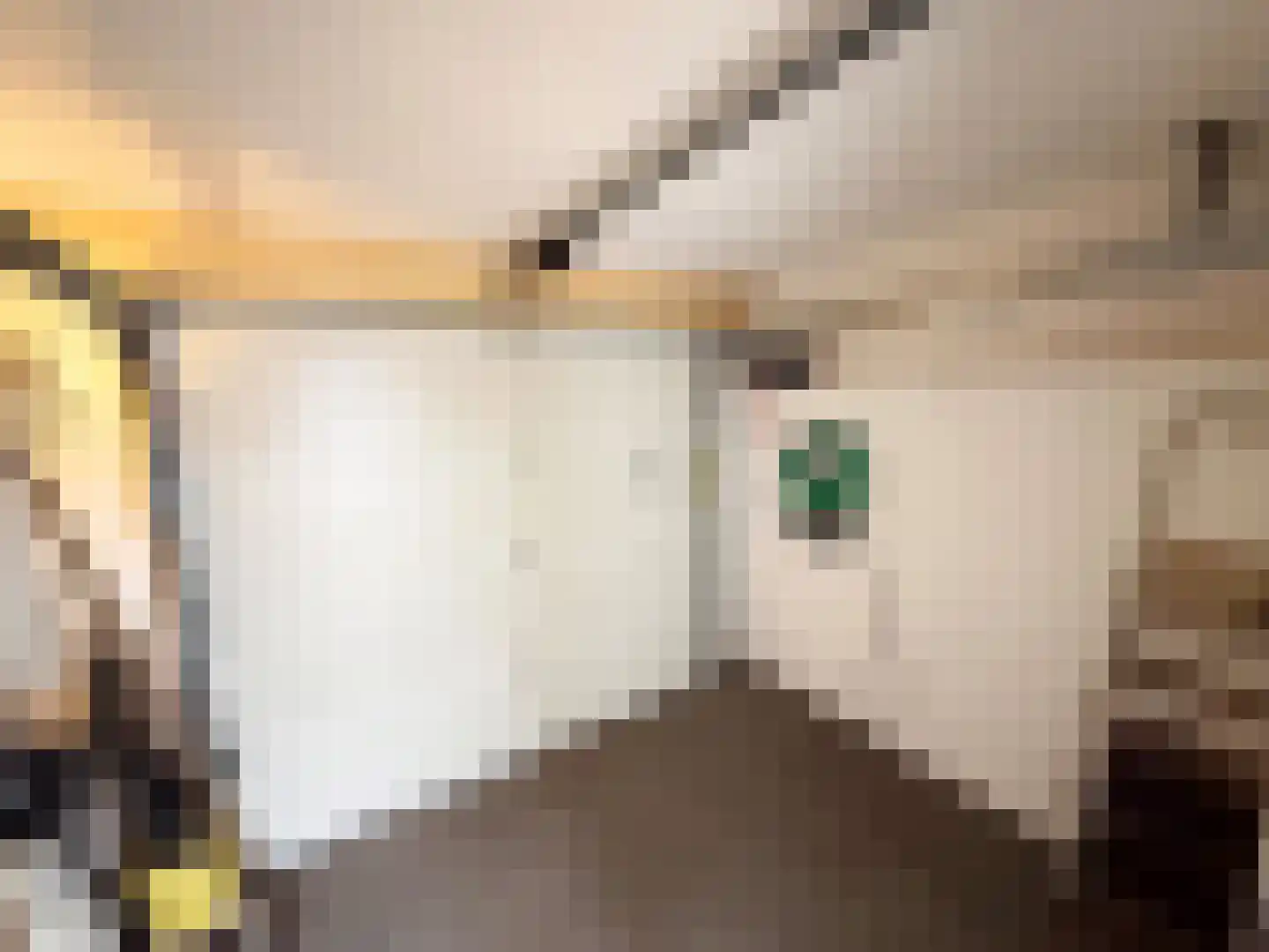 De Tijen 5 Drachten thumbnail 15