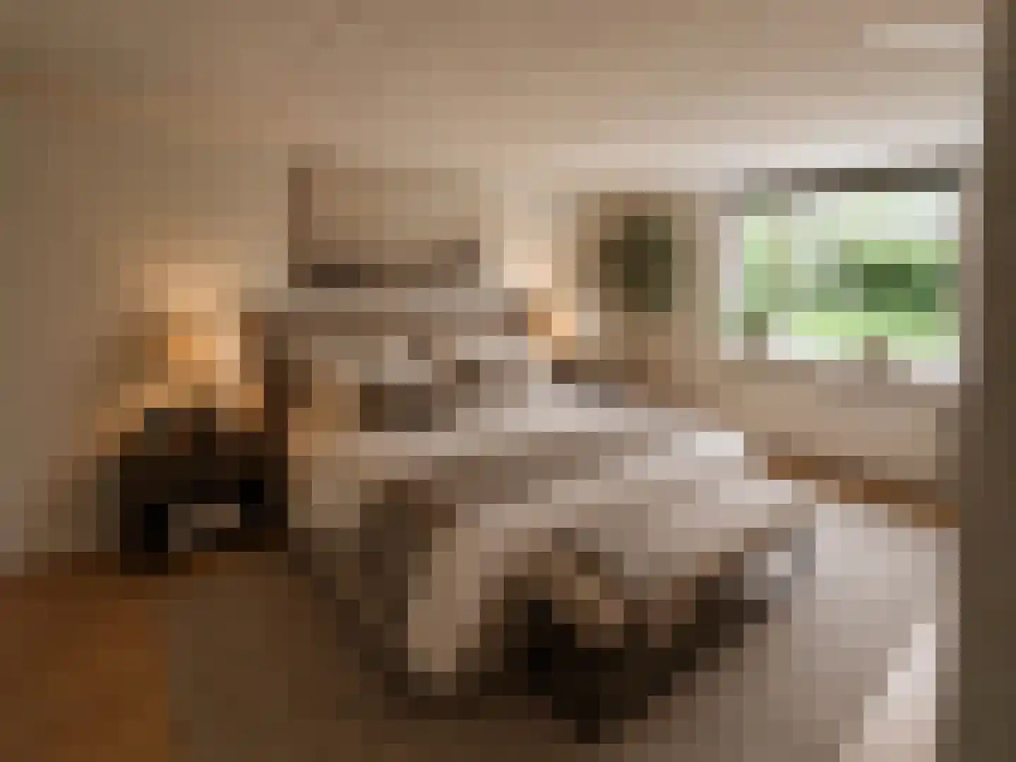De Tijen 5 Drachten thumbnail 8