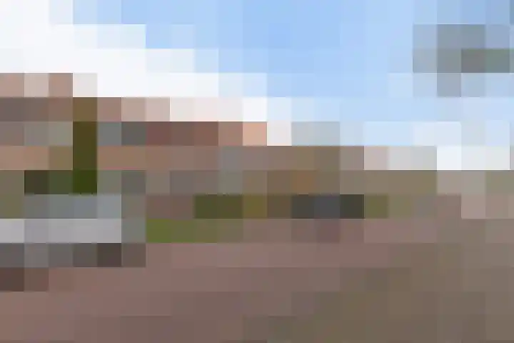 De Tijen 61 Drachten thumbnail 6