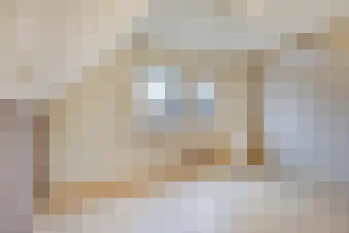 de Tijnagel 10 Alphen thumbnail 22