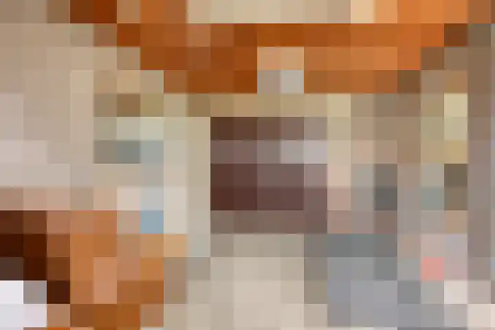 de Tijnagel 10 Alphen thumbnail 36