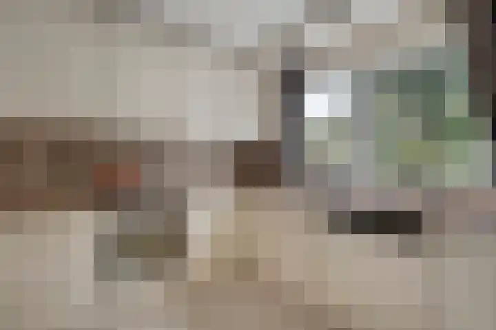 De Til 15 Koudekerk aan den Rijn thumbnail 13