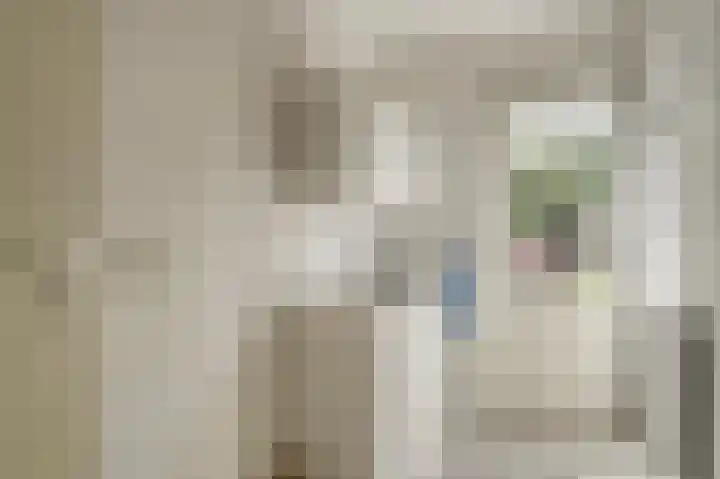 De Til 15 Koudekerk aan den Rijn thumbnail 15