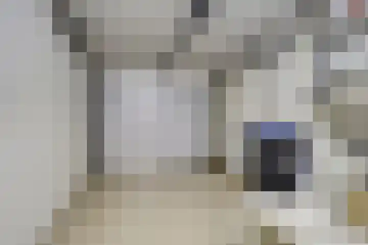De Til 15 Koudekerk aan den Rijn thumbnail 16