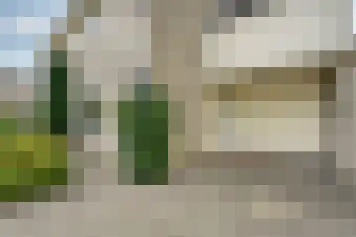 De Til 15 Koudekerk aan den Rijn foto 2