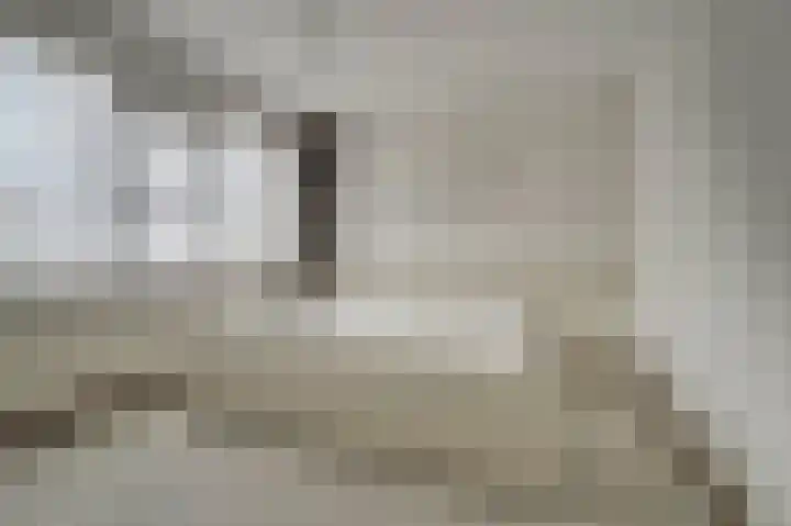 De Til 15 Koudekerk aan den Rijn thumbnail 20