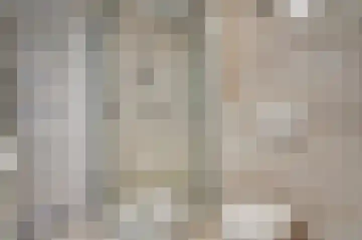 De Til 15 Koudekerk aan den Rijn thumbnail 22