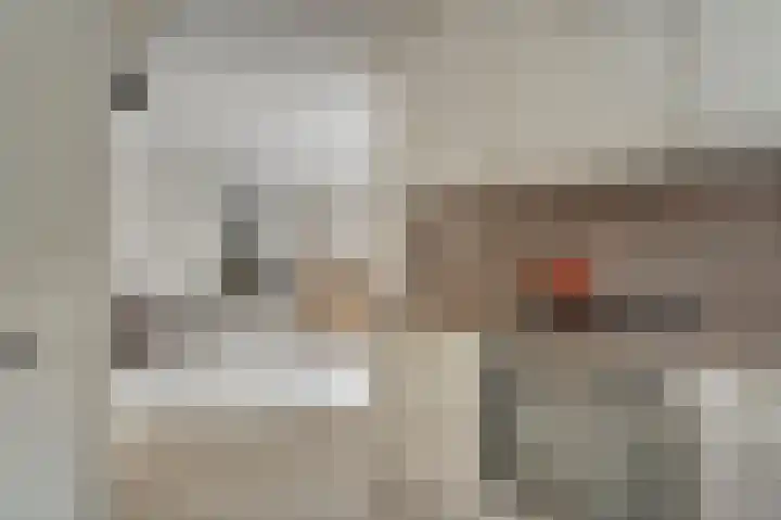 De Til 15 Koudekerk aan den Rijn foto 3