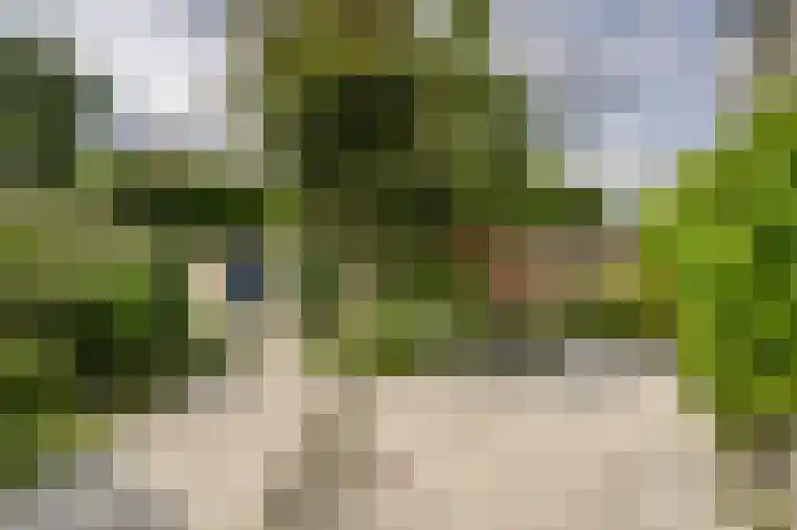 De Til 15 Koudekerk aan den Rijn thumbnail 34