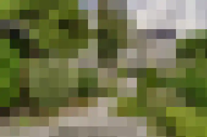 De Til 15 Koudekerk aan den Rijn thumbnail 35