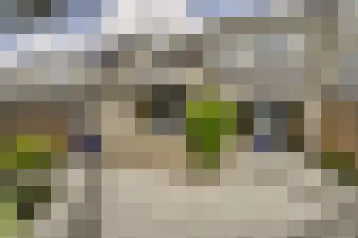 De Til 15 Koudekerk aan den Rijn thumbnail 36