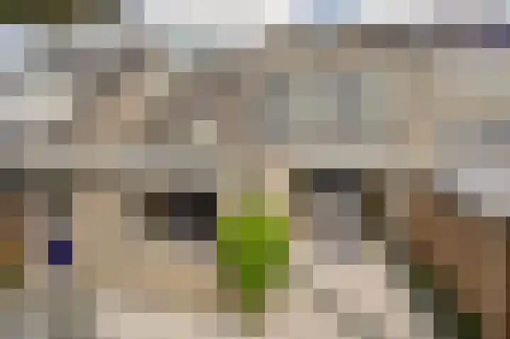 De Til 15 Koudekerk aan den Rijn thumbnail 37