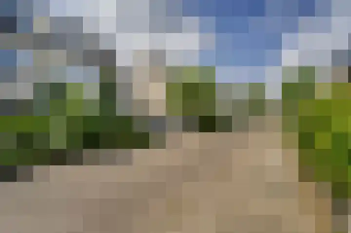 De Til 15 Koudekerk aan den Rijn thumbnail 39