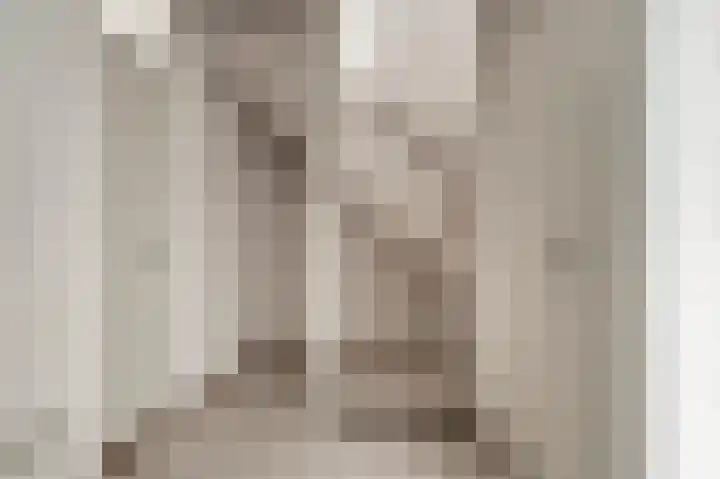 De Til 15 Koudekerk aan den Rijn thumbnail 6