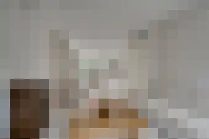 De Til 15 Koudekerk aan den Rijn thumbnail 9