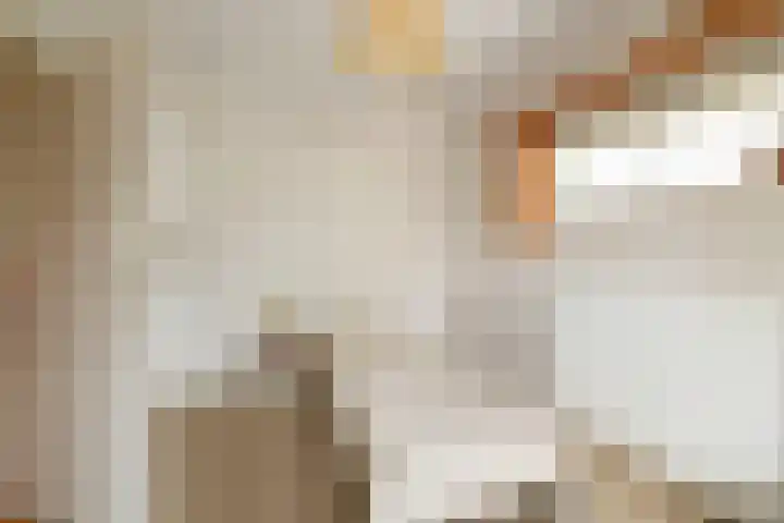 De Til 16 Klarenbeek thumbnail 13