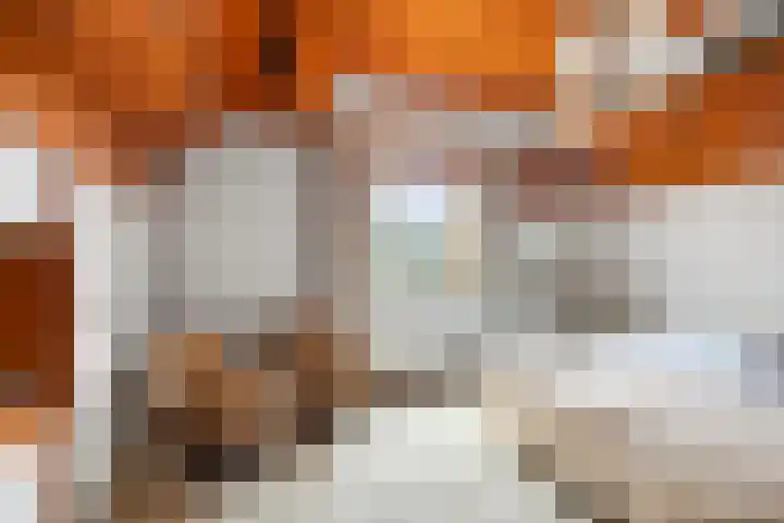 De Til 16 Klarenbeek thumbnail 19