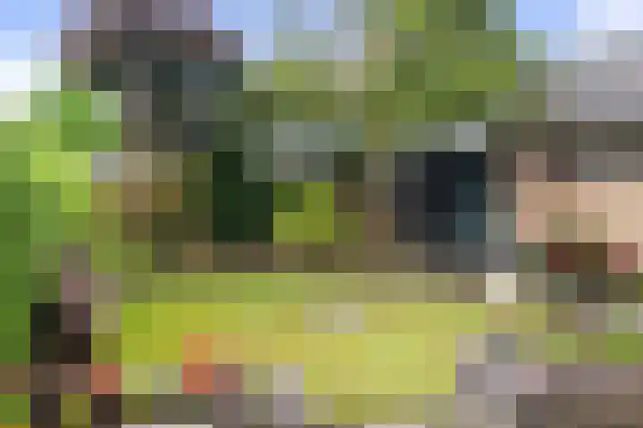 De Til 16 Klarenbeek thumbnail 26