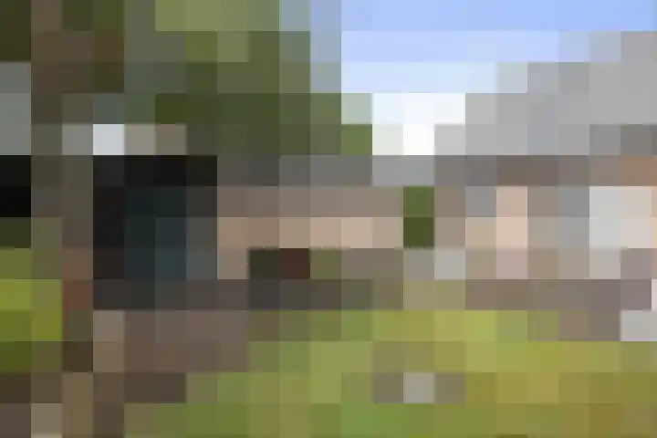 De Til 16 Klarenbeek thumbnail 27