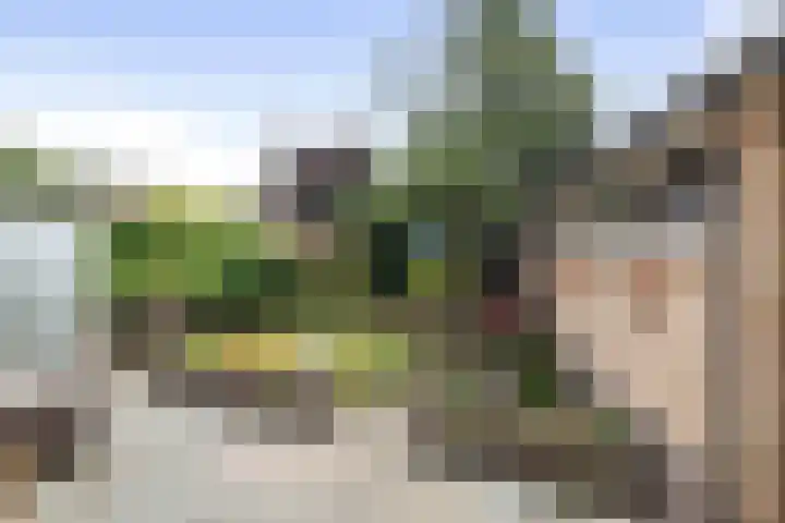 De Til 16 Klarenbeek thumbnail 30