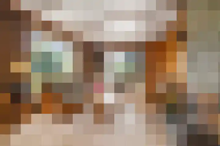 De Til 16 Klarenbeek thumbnail 4