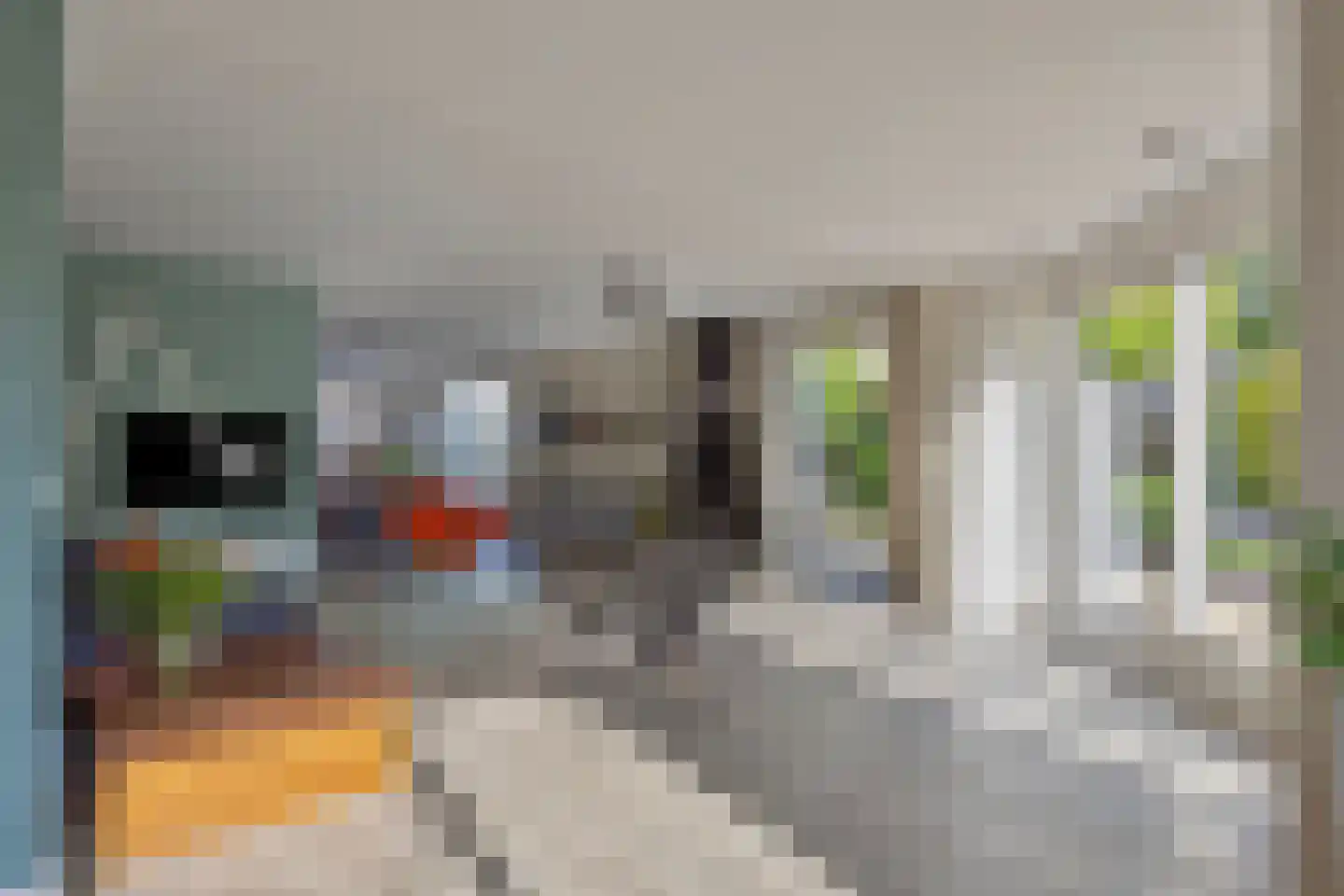 De Til 44 Koudekerk aan den Rijn thumbnail 16