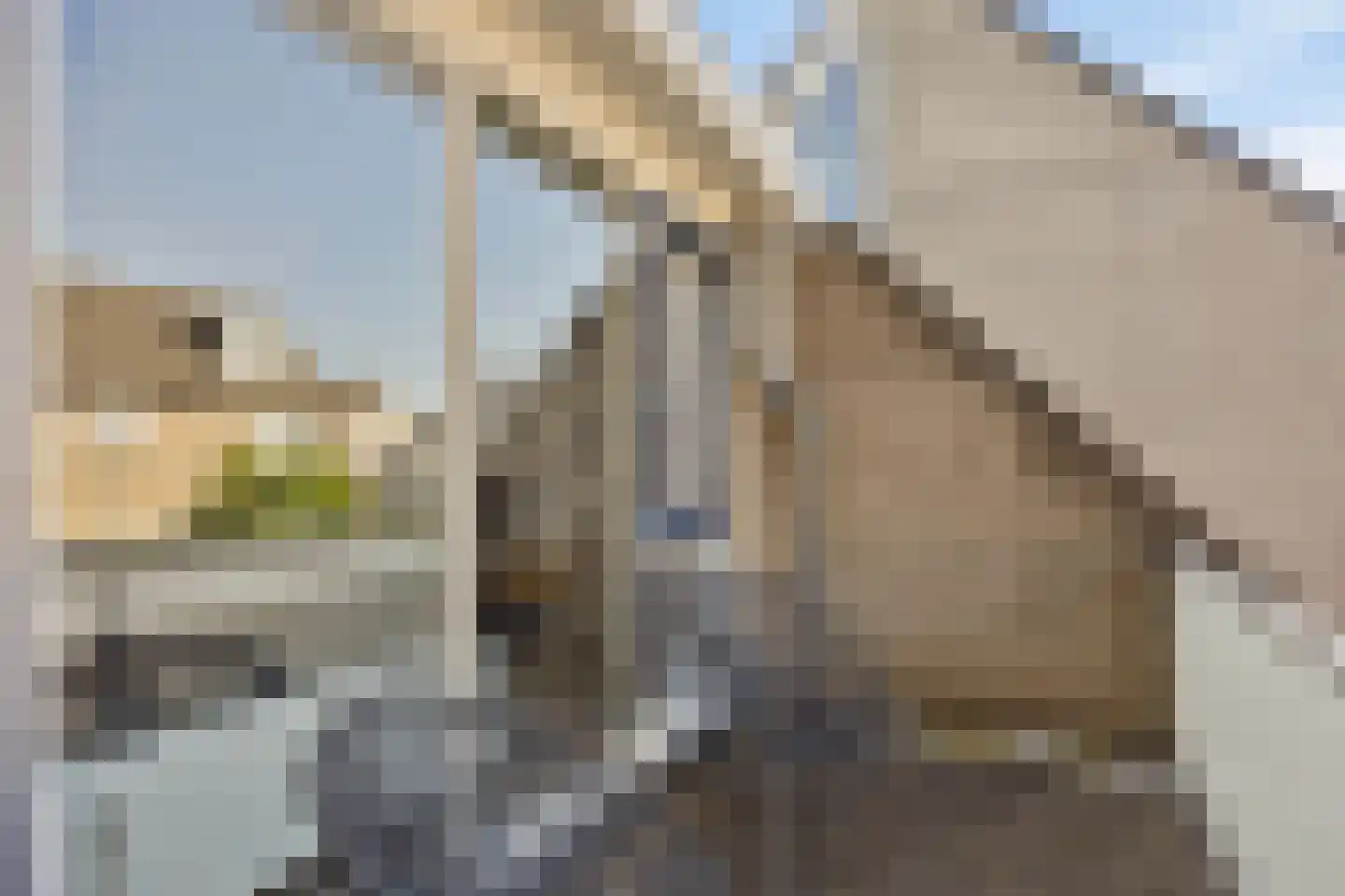 De Til 44 Koudekerk aan den Rijn thumbnail 33