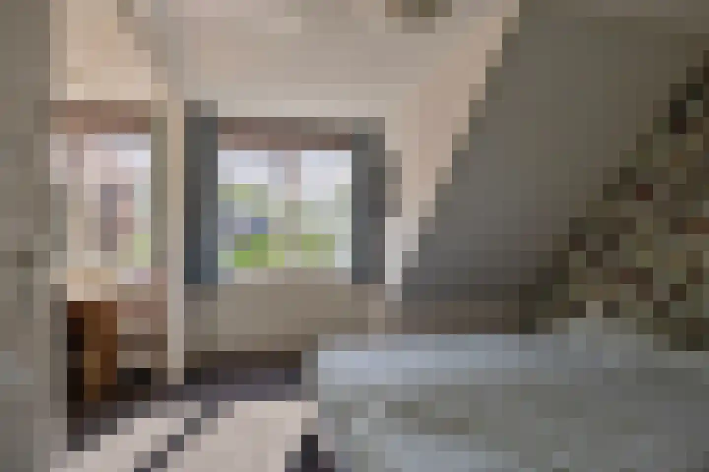 De Til 44 Koudekerk aan den Rijn thumbnail 38