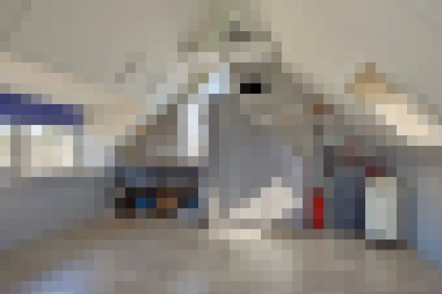 De Til 44 Koudekerk aan den Rijn thumbnail 46